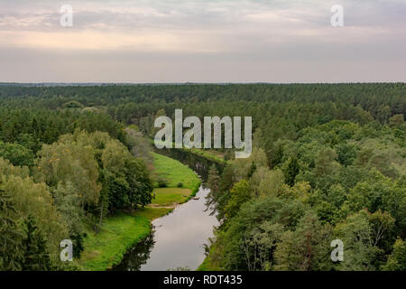 Vista Pineta treetops e avvolgimento Sventoji fiume dalla torre di avvistamento del Treetop percorso a piedi in Anyksciai, Lituania. Foto Stock