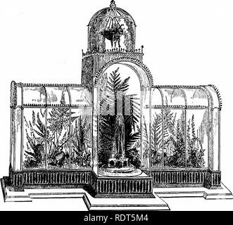 . La nuova finestra pratico giardiniere; essendo indicazioni pratiche per la coltivazione della fioritura e foglie di piante in windows e casi di vetrate e la disposizione delle piante e dei fiori per la decorazione della casa. Finestra-giardinaggio. Le camere, le sale e passaggi. 155 Tradescantia zebrina e Selaginella; e tutte le felci, foglie di piante e cut-fiori. Essi possono essere ottenuti di varie dimensioni e materiali. Quelli fatti di galvanizzata filo" sono i migliori per la ruggine non è così soggetta a deturpare loro come quando sono solo verniciato e sono anche la luce in apparenza. Canestri di argilla Foto Stock
