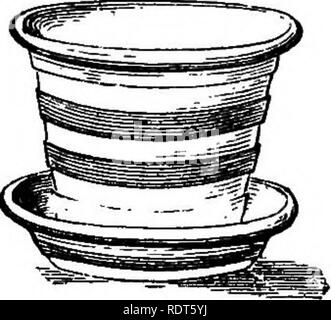 . La nuova finestra pratico giardiniere; essendo indicazioni pratiche per la coltivazione della fioritura e foglie di piante in windows e casi di vetrate e la disposizione delle piante e dei fiori per la decorazione della casa. Finestra-giardinaggio. 40 Potting ed irrigazione. Dispone di tre o quattro-pollice pot in un primo momento, e di essere spostato in un più grande quando la pentola è piena di radici. Non consiglierei di fare crescere le piante in un formato più grande rispetto a un otto-pollice pentola. Sei o sette pollici è il più conveniente taglia per la finestra Piante. Se piante come fuchsias o gerani hanno superato gli otto pollici, ho Foto Stock