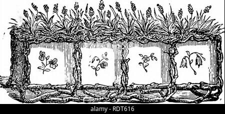 . La nuova finestra pratico giardiniere; essendo indicazioni pratiche per la coltivazione della fioritura e foglie di piante in windows e casi di vetrate e la disposizione delle piante e dei fiori per la decorazione della casa. Finestra-giardinaggio. La nuova finestra pratico giardiniere. 17 fiori e l'allegro aspetto che danno alla vostra abitazione. Come piacevole ed interessante per l'occhio è un bene riempito window box! Che cosa un vivace aspetto essa dà a una via o piazza in una città o paese dove ogni altra finestra è gay in miniatura con giardini di fiori. Molte sono le amare guarda getta su di loro dal Foto Stock