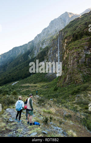 Il Rob Roy Glacier via conduce gli escursionisti attraverso una foresta di faggio in una conca sotto il Rob Roy ghiacciaio con cascate e panorami di Mount aspiranti Foto Stock