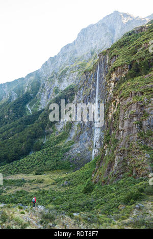 Il Rob Roy Glacier via conduce gli escursionisti attraverso una foresta di faggio in una conca sotto il Rob Roy ghiacciaio con cascate e panorami di Mount aspiranti Foto Stock