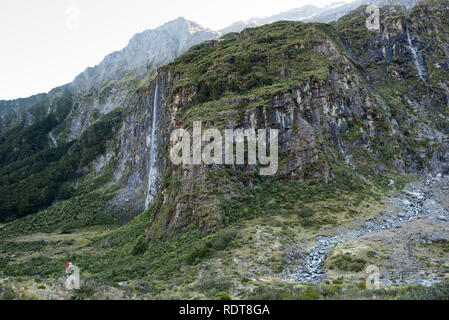 Il Rob Roy Glacier via conduce gli escursionisti attraverso una foresta di faggio in una conca sotto il Rob Roy ghiacciaio con cascate e panorami di Mount aspiranti Foto Stock