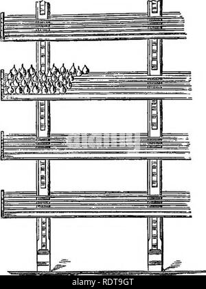 . I parchi e i giardini di Parigi, considerato in relazione alla voglia di altre città e dei giardini pubblici e privati; essendo note su uno studio di Parigi giardini. Il giardinaggio; Giardini; parchi. 442 PARCHI E OARDENS DI PARIGI. [Cap. XXV. così rapidamente come si può camminare lungo di esso, ma la trama di molte passeggiate non avrebbe permesso di suo uso a tutti. A St. Cloud e altri luoghi in cui esso è utilizzato, la superficie è molto sabbiose, e ovunque. Si prega di notare che queste immagini vengono estratte dalla pagina sottoposta a scansione di immagini che possono essere state migliorate digitalmente per la leggibilità - Colorazione e aspetto di queste illus Foto Stock