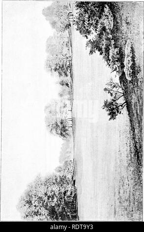 . Di giardinaggio. Note e suggerimenti sui prati e prato piantando--posa e disposizione del paese luoghi, grandi e piccoli parchi, cimitero tenute, e della stazione ferroviaria di prati--di latifoglie e sempreverdi alberi ed arbusti--l'hardy border-biancheria piante--rockwork, ecc. Di giardinaggio. . Si prega di notare che queste immagini vengono estratte dalla pagina sottoposta a scansione di immagini che possono essere state migliorate digitalmente per la leggibilità - Colorazione e aspetto di queste illustrazioni potrebbero non perfettamente assomigliano al lavoro originale. Parsons, Samuele, 1844 -1923. New York, G. P. Putnam Sons Foto Stock