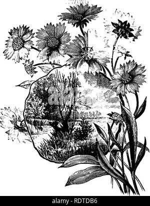 . Di giardinaggio. Note e suggerimenti sui prati e prato piantando--posa e disposizione del paese luoghi, grandi e piccoli parchi, cimitero tenute, e della stazione ferroviaria di prati--di latifoglie e sempreverdi alberi ed arbusti--l'hardy border-biancheria piante--rockwork, ecc. Di giardinaggio. 206 nonne giardino. L'I'epose, la dignità, il pittoresco e semplicità e uncon- scious di autocontrollo di Sunnyside è il mio ideale di ciò che un piccolo luogo dovrebbe essere con una nonna giardino dietro di esso. Ma il lettore dovrà dire, forse, ho il mio acri di terra con unità, rhododen- dion gruppi,shrubbe Foto Stock