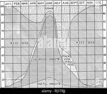 . [Raccolte ristampe, 1895-1916. Gli uccelli. 38 PRODOTTI ALIMENTARI DI BOBOLINK, merli, e GBACKLES. L'aumento di alimento vegetale diverso da granella e semi di erbaccia durante il mese di agosto e settembre è dovuto al consumo di riso selvatico {Zizania aqvMtica), che in questo momento costituisce piuttosto un elemento importante. Nella loro dieta di insetti il redwings fare molto bene perché solo una piccola percentuale delle specie che mangiano sono benefiche. Più distruttivo muso-coleotteri (curculioni) sono mangiati dai loro rispetto a qualsiasi altra specie di uccelli che la Avriter ha esaminato, con la sola eccezione dei bobolinks. Altri coleotteri e cavallette anche co Foto Stock