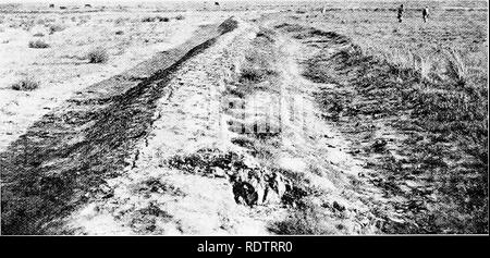 . Studi sulla vegetazione della Transcaspian lowlands. La botanica. - 54 - mantiene tuttavia (1. c. p. 123) che soluzione salina suolo devono essere lavate per due inverni prima di essa è adatta ad essere coltivato. Batpak o Batliak, secondo Choroshkin (citato da MusKETOW p. 655), deve essere strettamente correlato al Ssor. Questi sono depressioni paludose con è efflorescente sali, e sono quasi sempre trovato dal sale-laghi e può essere parzialmente coperta dall'acqua. Esso deve essere aree di questo tipo che Borszczow. Fig. 3. A sinistra sale-deserto con sparse Halostachys caspica. Il suolo a destra del Tumulo è stata irrigata una volta Foto Stock