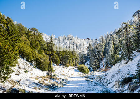 Il Monte Baldy (Mt San Antonio) ski lift in una giornata di sole e neve che ricopre il suolo e i pini, Los Angeles County, California Foto Stock