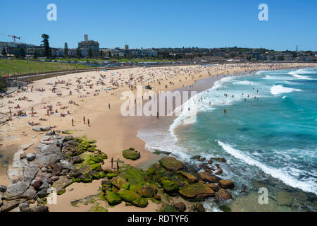 Panorama di bondi beach in un caldo giorno d'estate e di sole con cielo blu in Sydney NSW Australia Foto Stock