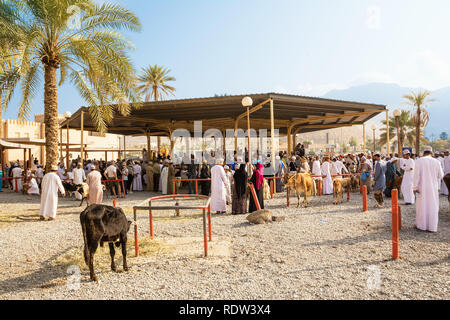 Nizwa, Oman - 2 Novembre 2018: Panoramica del venerdì sul mercato degli animali in Nizwa con le persone e gli animali Foto Stock