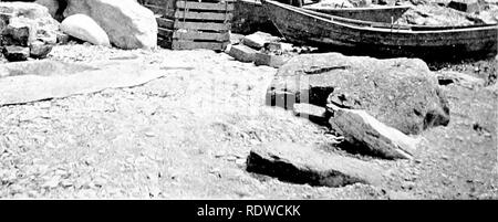 . Bird Studies con una telecamera : con capitoli introduttivi sul vestito e metodi del fotografo di uccelli . Gli uccelli e la fotografia di uccelli. 1(U BIRD STUDIES CON UNA TELECAMERA ad invadere il territorio sotto il suo controllo al fine di mezz'ora una grande dory, presidiata da due vogatori, ajipeared da dietro la roccia e guidato per th(^ ,s(.-h(.)Ouer. A poppa è stato capitano introduttore, a prua un estraneo la cui faccia è stata eloquente con un nns])oken benvenuto. Questo è stato il detentore capitano ?n^f: - - "io" ""-"S??'*£^5. y3. Tliu landinj; presso la UIC liasc nf il Knelx, ^lluilll,^ craLu. Peter Bour Foto Stock