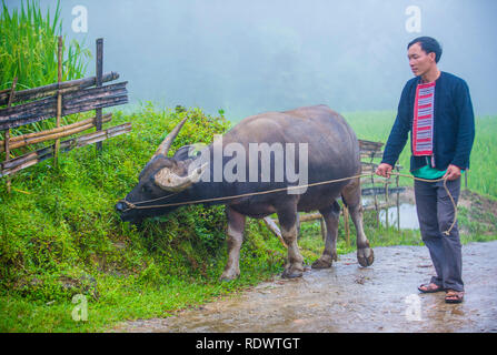 L uomo dalla Red Dao in minoranza in un villaggio vicino a Ha Giang in Vietnam Foto Stock