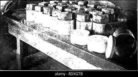 . Formaggio; cheddar, swiss, mattoni, limburger, Edam, cottage, ecc. Formaggio. 166 di formaggio. 319. Premendo il formaggio. Uno o due mattoni sono messi sulla parte superiore della punteria in ciascuno stampo per la pressione. In un ora o due lo stampo viene ribaltato e la pressione applicata all'altro lato. Questo può essere fatto più volte durante le ventiquattro ore il formaggio è in stampa. 320. Salatura il formaggio. Al termine di ventiquattro ore, il formaggio viene tolto dagli stampi e salato in una camera di salatura, che in realtà è una cantina tra la creazione di spazio e la cantina di indurimento. Fig. 81.-Round mattone o Foto Stock