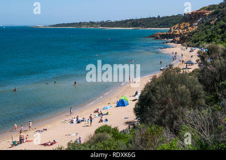 Mattinata estiva a Half Moon Bay sulla Port Phillip Bay, Melbourne, Australia Foto Stock