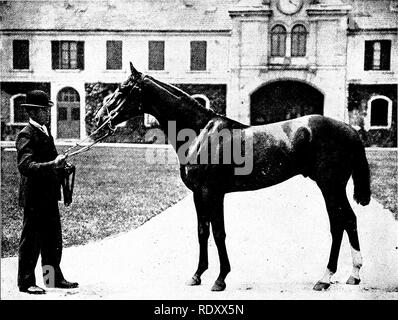 . I nostri animali domestici, le loro abitudini, intelligenza e utilità; tr. dal francese di GOS. De Voogt, da Katharine P. Wormeley;. Animali domestici. 144 i nostri animali domestici in 1/99 Hambletonian e il diamante ha funzionato per una somma di tre mila Guinea a Newmarket. Un "concorsi" è una gara in cui diversi cavalli può prendere parte, il vincitore tenendo il totale delle giocate. Il "re o regina della targa" è un premio assegnato dal sovrano ; precedentemente essa consisteva di qualche oggetto d'arte, ma di fine ha assunto la forma di una borsa contenente un centinaio di Guinea. ci sono buone probabilità che tutti i t Foto Stock