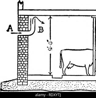 . La produzione e la manipolazione del latte pulito, comprese le pratiche di ispezione del latte. La produzione di latte; il latte. Fig. 2.. 3 C Kr schizzo a due metodi di ventilazione di un caseificio fienile.. Si prega di notare che queste immagini vengono estratte dalla pagina sottoposta a scansione di immagini che possono essere state migliorate digitalmente per la leggibilità - Colorazione e aspetto di queste illustrazioni potrebbero non perfettamente assomigliano al lavoro originale. Winslow, Kenelm, 1863-; Hill, Hibbert Winslow, 1871-1947. New York, W. R. Jenkins Co Foto Stock