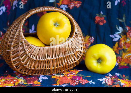 Opale giallo le mele in un cesto di vimini in un colorato floral background fabrick Foto Stock