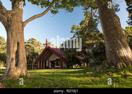 Te Whare Rūnanga (la casa di assemblaggio). La Waitangi Treaty Grounds è il luogo dove i capi Maori prima firmato il loro accordo con la corona britannica Foto Stock