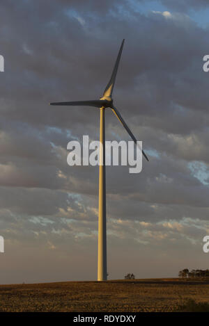 La generazione di verde a basso cardon elettricità al Mt Millar Wind Farm vicino Cleve Eyre Peninsula South Australia. Foto Stock