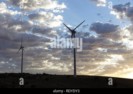 La generazione di verde a basso cardon elettricità al Mt Millar Wind Farm vicino Cleve Eyre Peninsula South Australia. Foto Stock