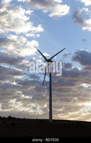 La generazione di verde a basso cardon elettricità al Mt Millar Wind Farm vicino Cleve Eyre Peninsula South Australia. Foto Stock