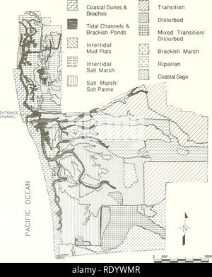. L'ecologia di Tijuana estuario, California : un cittadino di estuario riserva di ricerca. Ecologia di estuario -- California Tijuana estuario del fiume. Transizione D disturbato transizione Mista/ disturbato palude salmastra. Figura 1.3. Mappa di tipi di habitat a Tijuana estuario (vedere il capitolo 3 per la descrizione e la tabella 3.1 per superfici di ciascuna). Gli habitat sono stati descritti utilizzando il 1986 foto aeree, massa truthing e carte topografiche. Questa mappa è stata prodotta da un sistema di informazione geografica, la cortesia del R. Wright, Dipartimento di Geografia, SDSU. Modificato da Entrix et al. (1991). Si prega di notare che queste imag Foto Stock