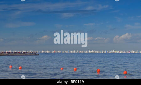 Trieste. Barcolana boat race. Foto Stock