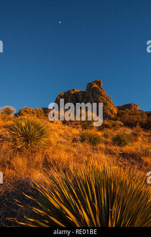 Una mezza luna si siede nel profondo blu del cielo sopra rocce dorate al tramonto in Soledad Canyon, parte delle montagne Organ deserto picchi monumento nazionale vicino a Las Cruces, Nuovo Messico Foto Stock