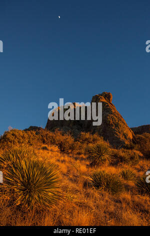 Una mezza luna si siede nel profondo blu del cielo sopra rocce dorate al tramonto in Soledad Canyon, parte delle montagne Organ deserto picchi monumento nazionale vicino a Las Cruces, Nuovo Messico Foto Stock