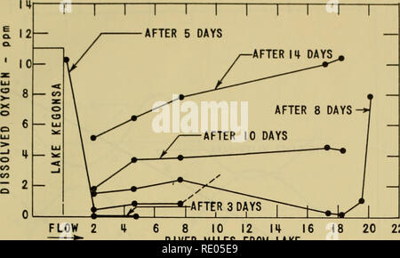 . L'ecologia delle alghe : un simposio tenutosi presso il Pymatuning Laboratorio di Biologia di campo il 18 e il 19 giugno 1959. Alghe; Ecologia vegetale. 6 8 10 12 |I| fiume 16 miglia dal lago 20 22 PER EFFETTO DEL LAGO KEGONSA ALGHE SUL FIUME YAHARA RISORSE DI OSSIGENO Figura 9 stabilizzazione dei rifiuti ed è facilmente persa per l'a- mosphere . Questo tipo di perdita si applica in linea di principio a fiumi ma anche si verifica di solito ci ad un livello molto più basso grado di intensità. Per la stabilizzazione dei rifiuti sarebbe molto meglio che essere di ossigeno disponibile con- tinuously a minore ma costante il livello di "la festa e carestia" situazione che o Foto Stock