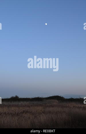 La luna sorge su Cliffe marsh, north Kent, su una chiara e fredda giornata invernale, Gennaio 2019. Dal fiume Tamigi nr Gravesend sulla penisola di Hoo Foto Stock