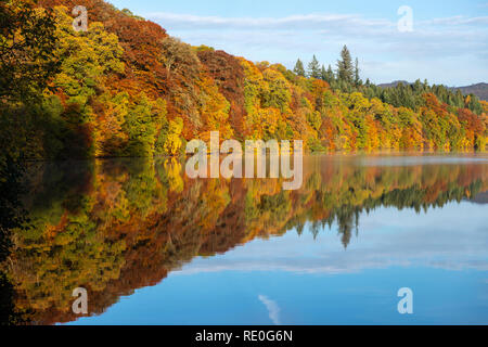 Autunno riflessioni sul Loch Faskally vicino Pitlochry, Perthshire Scozia Scotland Foto Stock