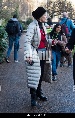 MP conservatore Anna Soubry che necessitano di una scorta della polizia come ella è harangued da ala destra manifestanti indossando HiViz tabards fuori le case del Parlamento, Westminster. Dotato di: Anna Soubry MP Dove: Londra, Regno Unito quando: 19 Dic 2018 Credit: Wheatley/WENN Foto Stock