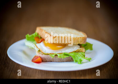 Sandwich freschi con foglie di lattuga e uovo fritto con toast caldo Foto Stock
