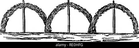 . L'Americano culturist frutta : contenente le indicazioni per la propagazione e la cultura di alberi da frutto in vivaio, orchidea e giardino : con descrizioni dei principali e estera americana varietà coltivate negli Stati Uniti . Frutti-coltura. Fig. 285 porzioni, legato alla posta in gioco del centro sono le canne che hanno dato i loro frutti e che devono essere tagliati in giù verso il suolo per essere sostituito dal montante che hanno appena com- pleted la loro crescita e che devono essere addestrati all'uomo- ner rappresentato dalla fig. 286.. Fig. 286. In molte parti del nord dei membri, qualche gara of- cravatte, Foto Stock