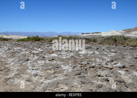 Salt Creek Trail nel Parco Nazionale della Valle della Morte, CALIFORNIA, STATI UNITI D'AMERICA Foto Stock