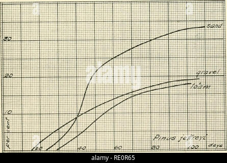 . Indagini ecologiche dopo la germinazione e la rapida crescita di alberi forestali. Alberi; la germinazione; crescita (piante). Fi.i. I. La germinazione curve di Pinns pondcrosa (California). Fig. 2. Le curve di germinazione dei finlandesi jcgrcyi.. Si prega di notare che queste immagini vengono estratte dalla pagina sottoposta a scansione di immagini che possono essere state migliorate digitalmente per la leggibilità - Colorazione e aspetto di queste illustrazioni potrebbero non perfettamente assomigliano al lavoro originale. Boerker, Richard Hans Douai, 1887-. Lincoln, Neb Foto Stock