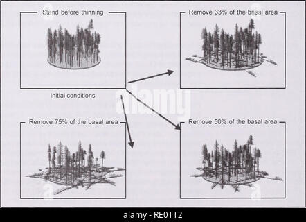 . Ecologico e valutazione finanziaria del tardo-successional reserve management. Le riserve forestali di gestione. Le riserve forestali Washington (stato) Gestione. La gestione delle foreste aspetti economici. La gestione delle foreste aspetti economici di Washington (stato); le riserve forestali; le riserve forestali; la gestione delle foreste e la gestione forestale. La figura 4-Plot dati dal patch delineato proiettata utilizzando la vegetazione forestale simulatore modello per caratterizzare potenziali condizioni di stand. La figura 5-Grand rimozione fir (percentuale di area basale) sotto tre intensità di trattamento applicato alla patch delineato nella figura 4 (sopra). 14. Foto Stock