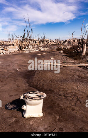 Gli alberi morti nella città di Epecuen. Paesaggio desolato senza persone. In caso di calamità naturali. Foto Stock