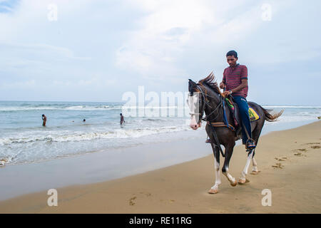 Passeggiate a cavallo sulla spiaggia di Marina, vicino Chennai city centre Foto Stock