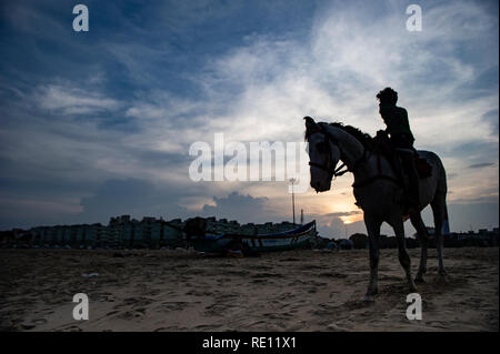 Equitazione al tramonto sulla spiaggia di Marina di Chennai, India meridionale come il sole scende Foto Stock