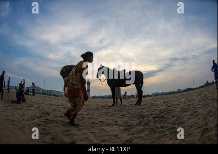 Equitazione al tramonto sulla spiaggia di Marina di Chennai, India meridionale come il sole scende Foto Stock