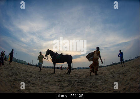 Equitazione al tramonto sulla spiaggia di Marina di Chennai, India meridionale come il sole scende Foto Stock