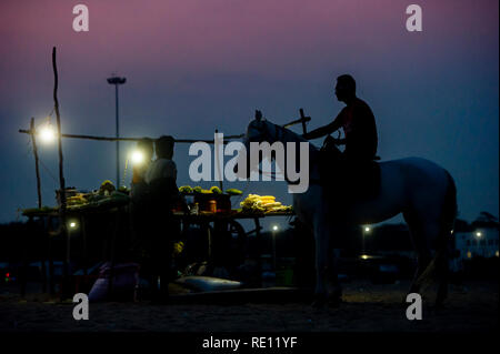 Un cavaliere a cavallo sulla spiaggia di Marina di Chennai al tramonto in un alimento in stallo Foto Stock