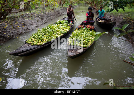 Gli agricoltori imbarcazioni a remi con guaiave e sapodilla testa flottante Vimruli guaiava mercato. Jhalakati, Bangladesh Foto Stock