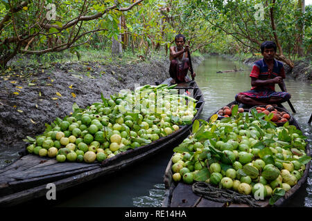 Gli agricoltori imbarcazioni a remi con guaiave e sapodilla testa flottante Vimruli guaiava mercato. Jhalakati, Bangladesh Foto Stock