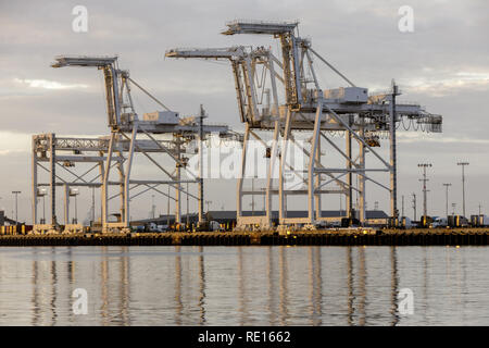 Contenitore di spedizione Gru nel porto di Oakland. Foto Stock
