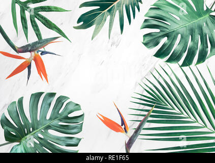 Gruppo di foglie tropicali su sfondo marmo.spazio copia.concetto Natura idee Foto Stock