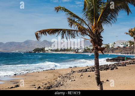 Spiaggia di Puerto del Carmen in Lanzarote, Isole canarie, Spagna. blu del mare, palme, il fuoco selettivo Foto Stock
